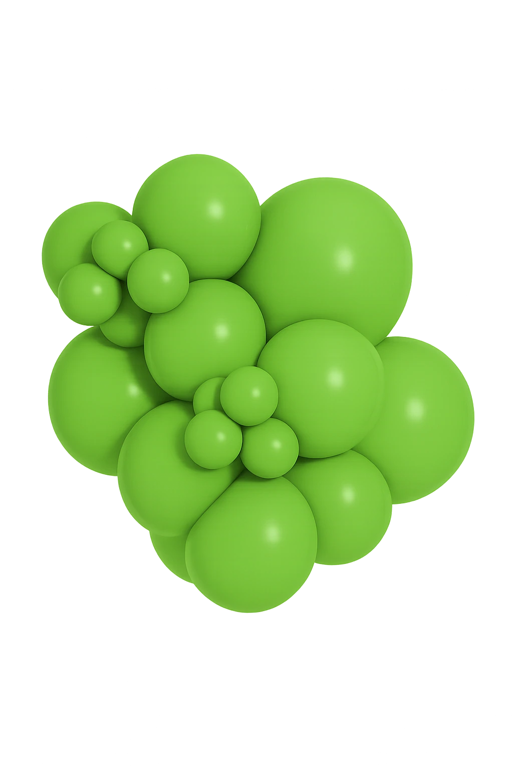 Kiwi Decorator